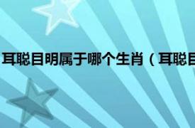 耳聪目明属于哪个生肖（耳聪目明是什么生肖相关内容简介介绍）