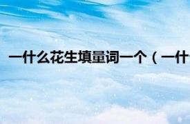 一什么花生填量词一个（一什么花生填量词相关内容简介介绍）