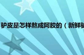 驴皮是怎样熬成阿胶的（新鲜驴皮怎么熬阿胶相关内容简介介绍）