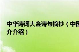 中华诗词大会诗句摘抄（中国诗词大会经典诗句摘抄相关内容简介介绍）