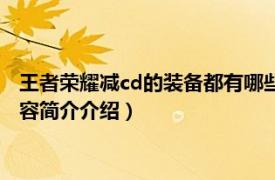 王者荣耀减cd的装备都有哪些（王者荣耀减cd装备有哪些相关内容简介介绍）