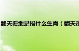 翻天覆地是指什么生肖（翻天覆地是什么生肖相关内容简介介绍）