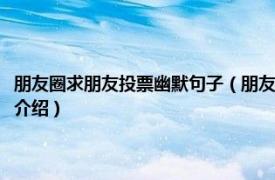 朋友圈求朋友投票幽默句子（朋友圈幽默的求投票语句有哪些相关内容简介介绍）