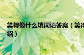 笑得像什么填词语答案（笑得像什么的填空咋写相关内容简介介绍）