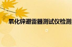 氧化锌避雷器测试仪检测报告（氧化锌避雷器测试仪）