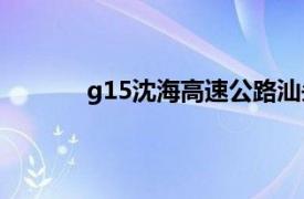 g15沈海高速公路汕头（G15沈海高速公路）