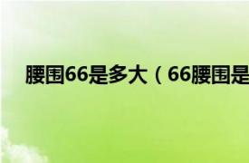 腰围66是多大（66腰围是多少尺寸相关内容简介介绍）