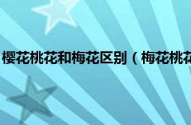 樱花桃花和梅花区别（梅花桃花樱花怎样区别相关内容简介介绍）