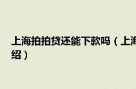 上海拍拍贷还能下款吗（上海拍拍贷不还会怎样相关内容简介介绍）