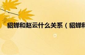 貂蝉和赵云什么关系（貂蝉和赵云的关系相关内容简介介绍）