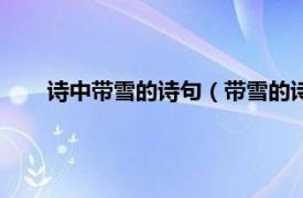 诗中带雪的诗句（带雪的诗句有什么相关内容简介介绍）