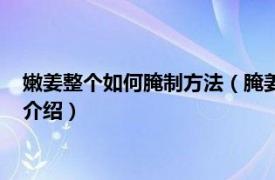 嫩姜整个如何腌制方法（腌姜片的正确做法怎么腌相关内容简介介绍）