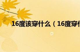 16度该穿什么（16度穿什么衣服相关内容简介介绍）