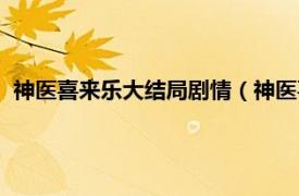 神医喜来乐大结局剧情（神医喜来乐大结局相关内容简介介绍）