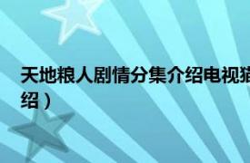 天地粮人剧情分集介绍电视猫（天地粮人大结局相关内容简介介绍）