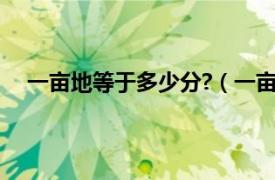 一亩地等于多少分?（一亩地多少分相关内容简介介绍）