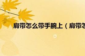 肩带怎么带手腕上（肩带怎么带手上相关内容简介介绍）