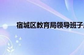 宿城区教育局领导班子成员分工（宿城区教育局）