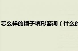 怎么样的镜子填形容词（什么的镜子填形容词相关内容简介介绍）