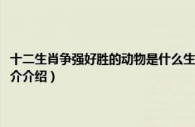 十二生肖争强好胜的动物是什么生肖（争强好胜是什么生肖动物相关内容简介介绍）