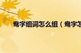 鸯字组词怎么组（鸯字怎么组词相关内容简介介绍）