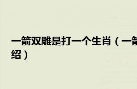 一箭双雕是打一个生肖（一箭双雕开过什么生肖相关内容简介介绍）