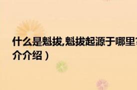 什么是魁拔,魁拔起源于哪里?（中国传说魁拔是什么相关内容简介介绍）