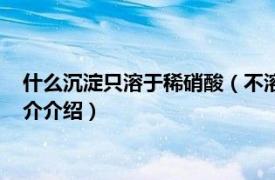 什么沉淀只溶于稀硝酸（不溶于稀硝酸的沉淀有什么相关内容简介介绍）