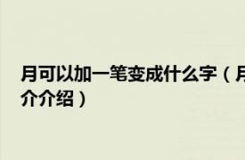 月可以加一笔变成什么字（月字加一笔能变成什么字相关内容简介介绍）