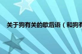 关于狗有关的歇后语（和狗有关的歇后语相关内容简介介绍）