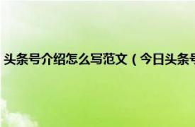 头条号介绍怎么写范文（今日头条号介绍怎么写吸引人相关内容简介介绍）