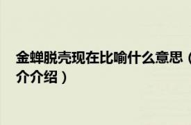 金蝉脱壳现在比喻什么意思（金蝉脱壳比喻什么生肖相关内容简介介绍）