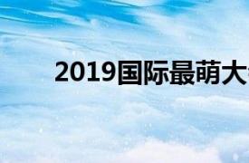 2019国际最萌大会（国际最萌大会）