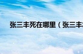 张三丰死在哪里（张三丰怎么死的相关内容简介介绍）