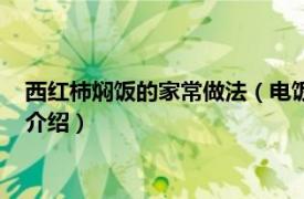 西红柿焖饭的家常做法（电饭煲西红柿焖饭怎么做相关内容简介介绍）