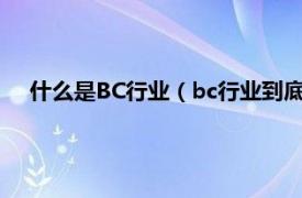 什么是BC行业（bc行业到底是做什么的相关内容简介介绍）