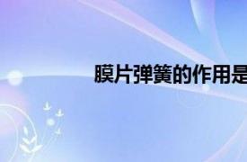 膜片弹簧的作用是什么？相关内容简介