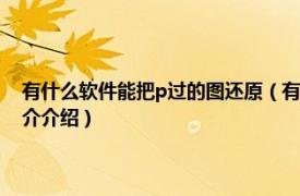 有什么软件能把p过的图还原（有什么软件能把P过的照片还原相关内容简介介绍）