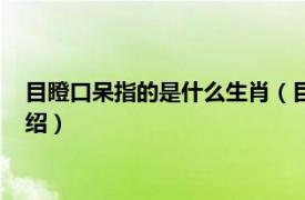 目瞪口呆指的是什么生肖（目瞪口呆是什么生肖相关内容简介介绍）