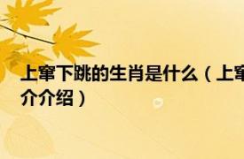 上窜下跳的生肖是什么（上窜下跳的动物指什么生肖相关内容简介介绍）