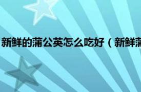 新鲜的蒲公英怎么吃好（新鲜蒲公英怎么吃好相关内容简介介绍）