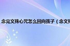 念完文殊心咒怎么回向孩子（念文殊心咒怎么回向孩子相关内容简介介绍）