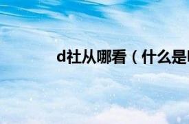 d社从哪看（什么是D社相关内容简介介绍）