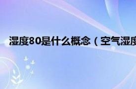 湿度80是什么概念（空气湿度80说明什么相关内容简介介绍）