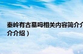 秦岭有古墓吗相关内容简介介绍一下（秦岭有古墓吗相关内容简介介绍）