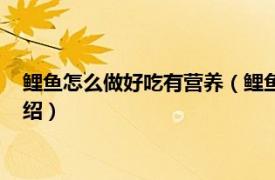 鲤鱼怎么做好吃有营养（鲤鱼怎么做好吃又营养相关内容简介介绍）