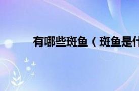 有哪些斑鱼（斑鱼是什么鱼相关内容简介介绍）