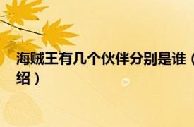 海贼王有几个伙伴分别是谁（海贼王有几个伙伴相关内容简介介绍）