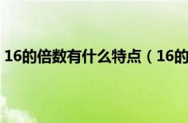 16的倍数有什么特点（16的倍数有哪些相关内容简介介绍）