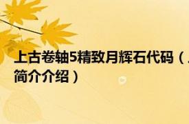 上古卷轴5精致月辉石代码（上古卷轴5精致月长石代码相关内容简介介绍）